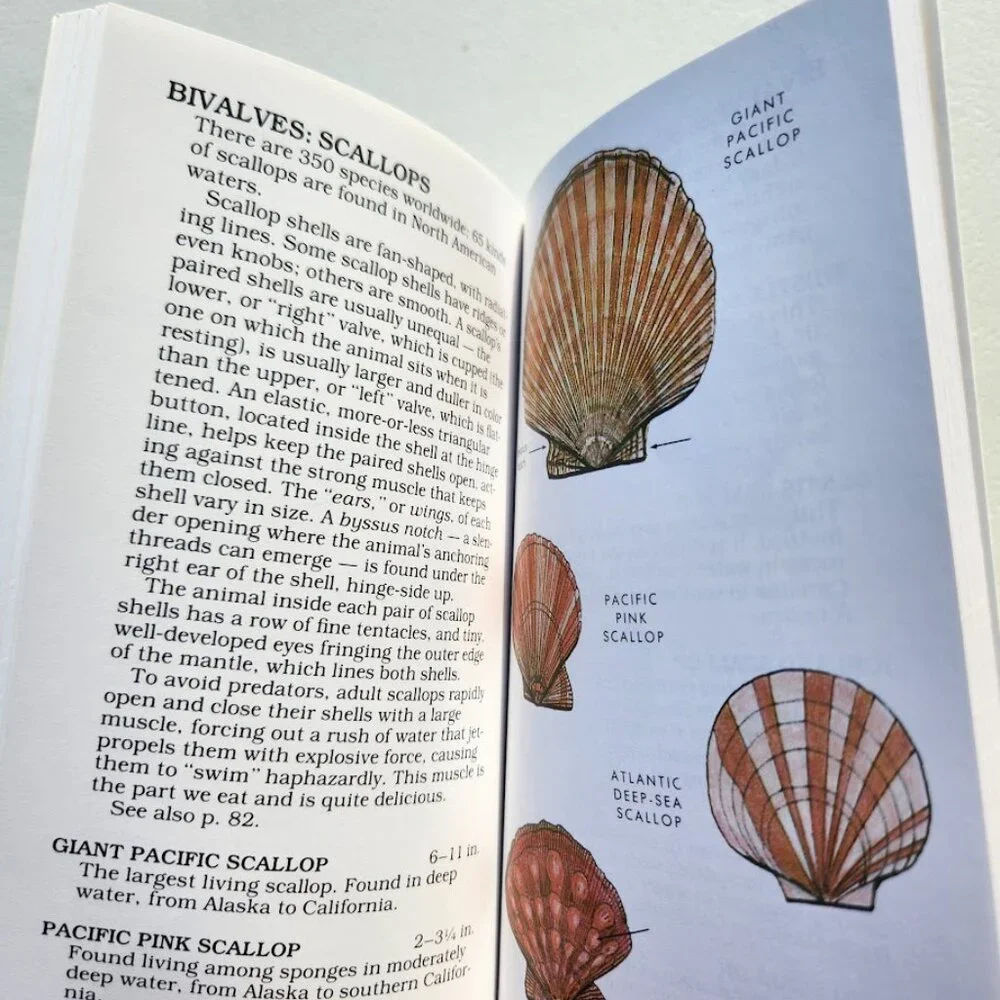 Peterson Field Guides Book Bundle Guide Books Reference Nature Trees Weather Hor